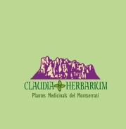 logo-claudia-herbarium-green_edited-1